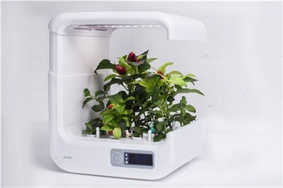 广州全自动蔬菜种植机 泱佑科技引领智能农业新纪元